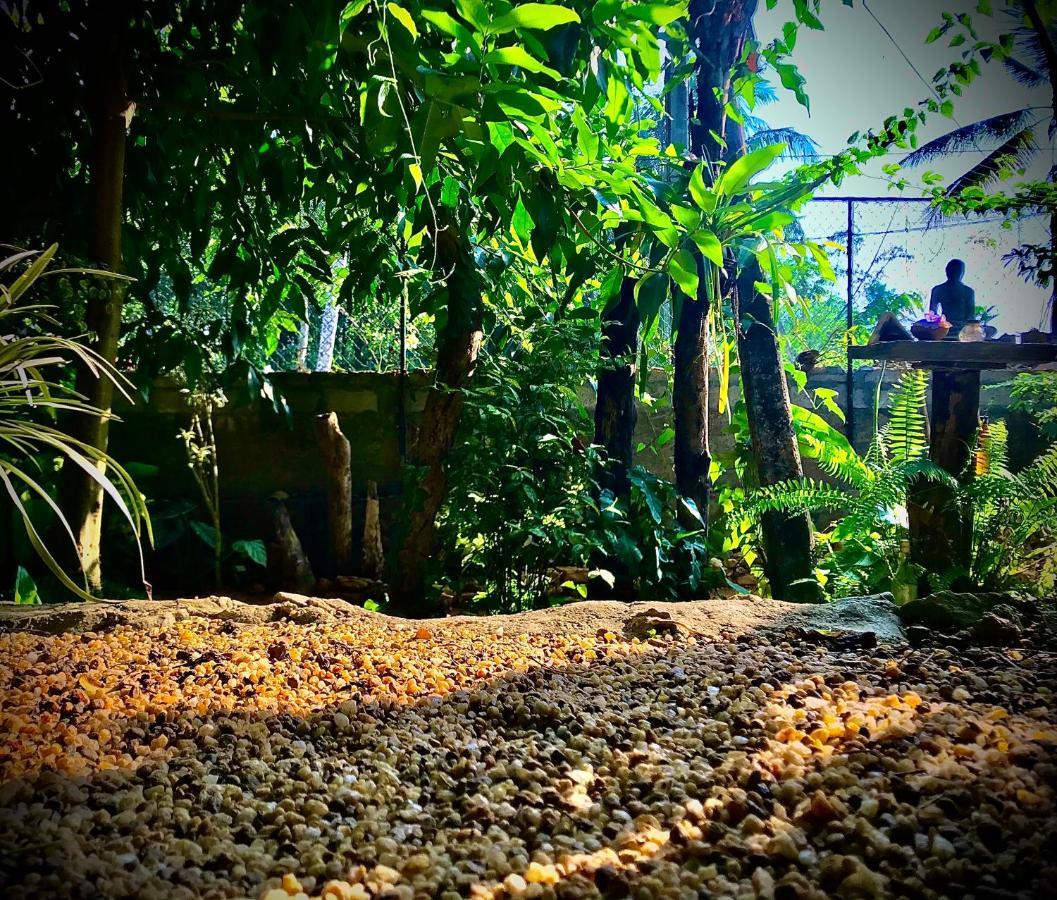 Earth House Sri Lanka Villa Neboda Exterior photo